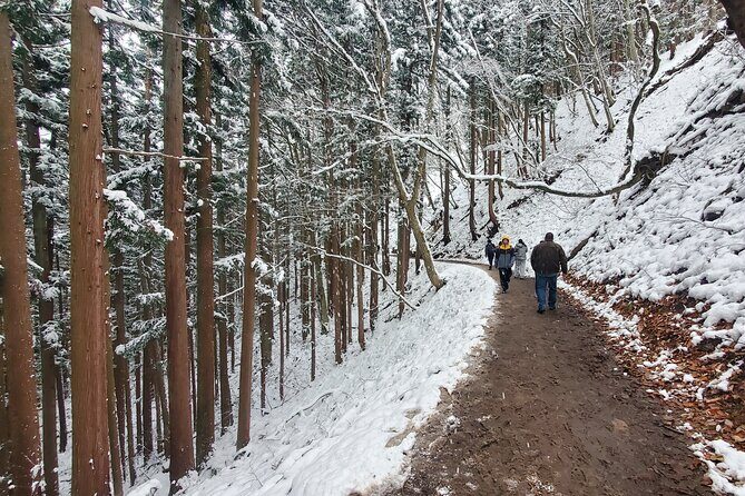 Snow Monkey Park & Zenkoji Private Tour (Customizable) - Who Will Love This Tour?