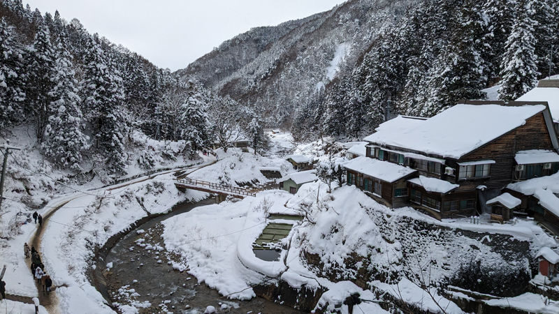 Snow Monkey Tour from Tokyo with Beef Sukiyaki Lunch - Who will enjoy this trip most?