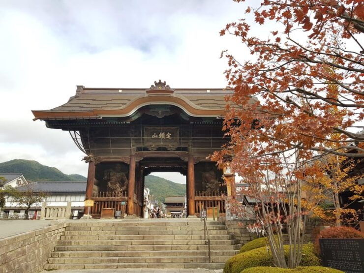 Snow Monkey, Zenko Ji Temple, Sake in Nagano Tour - Good To Know