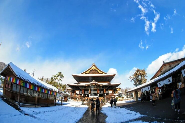 Snow Monkey, Zenko Ji Temple, Sake in Nagano Tour - Highlights of the Tour