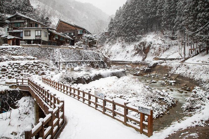Snow Monkey, Zenko Ji Temple, Sake in Nagano Tour - Tour Highlights