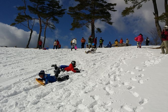 -Snow Mountain Hiking at the Foot of Asama- Karuizawa Snowshoe Tour - Pricing and Booking Information