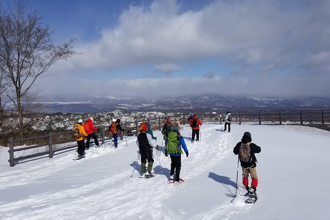-Snow Mountain Hiking at the Foot of Asama- Karuizawa Snowshoe Tour - Tour Overview