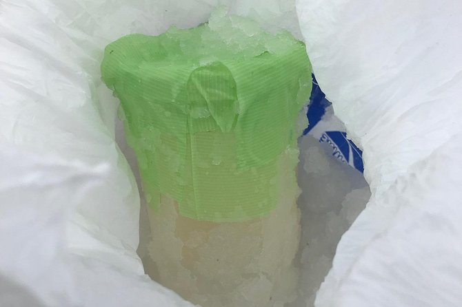 Snow Mountain Hiking to Enjoy With Family! Ice Cream Making Snowshoe - Overview of the Activity