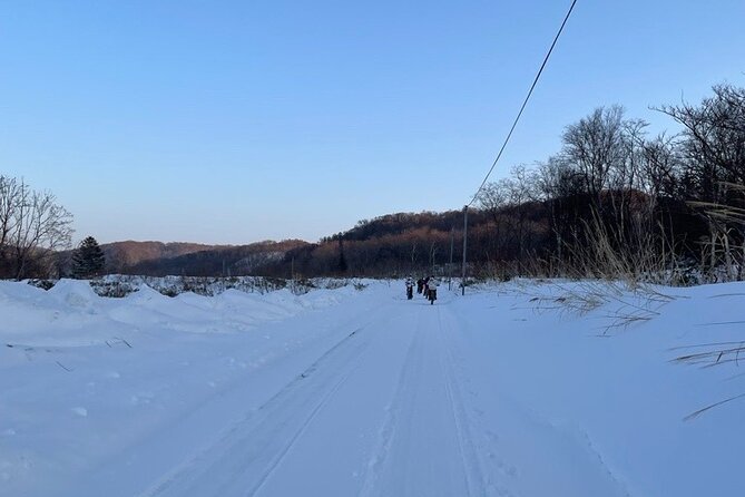 Snow on FAT BIKE - Guided Private Tour in Shinshinotsu - Inclusions