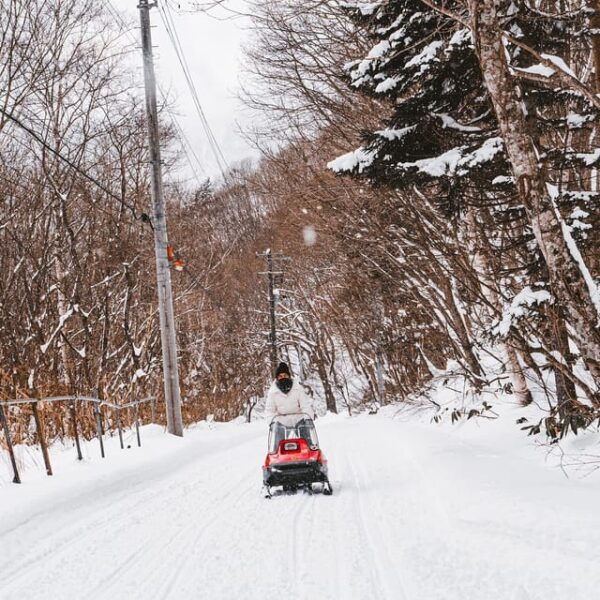 Snow Play, Sleds, Retro Snowmobiles - Tips for an Enjoyable Experience