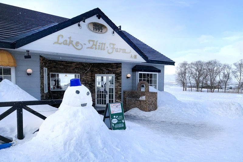 (Snow Viewing Limited) Hokkaido Noboribetsu Jigokudani / Lake Toya / Lake Hill Farm / Showa-shinzan | Optional Snowmobile Experience | Departing from Sapporo | English and Chinese Speaking Guide - What the price includes, and what it does not