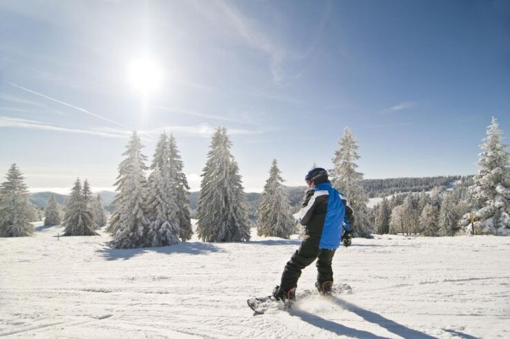 Snowboard Lessons (From 13 Y) for First Timers at Feldberg - Booking Details