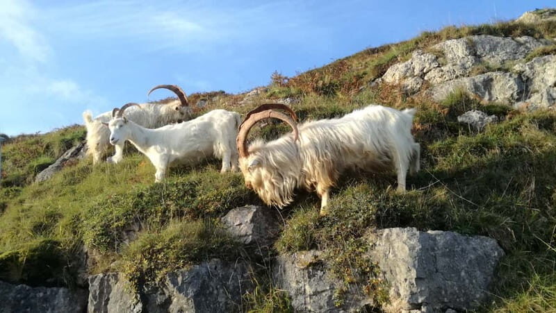 Snowdonia: Snowdonia, Bodnant Gardens & Castles Private Tour - The National Slate Museum and Welsh Heritage