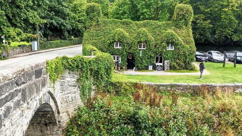 Snowdonia: Snowdonia, Portmeirion & Castles Private Tour - Transport, Timing, and Group Size