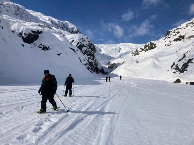 Snowmobile and Snowshoe Dual Adventure From Seward, AK - Activity and Booking Details