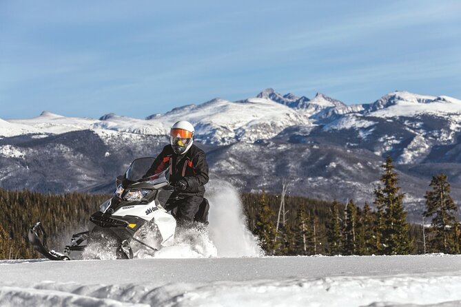 Snowmobile & Animals Day Tour - Overview and Logistics