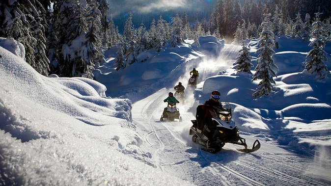 Snowmobile & Animals Day Tour - Activities