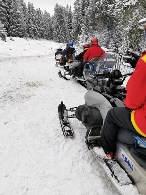 Snowmobile, ATV or Buggy Tour from Bucharest - Good To Know