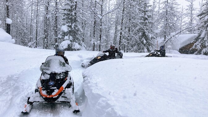 Snowmobile Classic Tour in Kenai Fjords National Park - Weather Conditions and Cancellation Policy