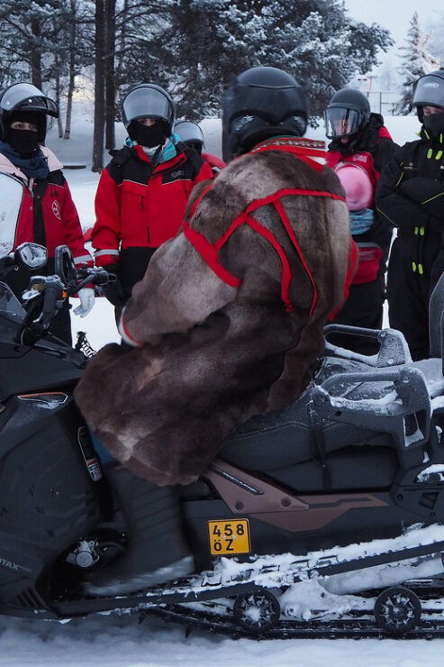 Snowmobile Expedition in Lapland - Pricing and Booking Details