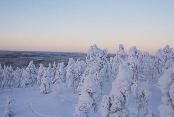 Snowmobile Expedition in Lapland - Frequently Asked Questions