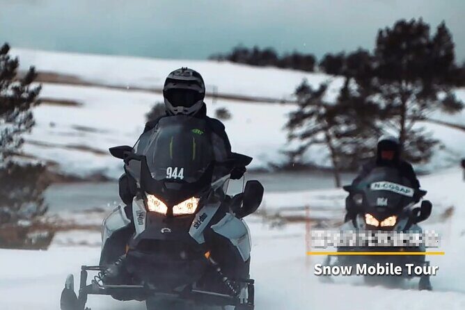Snowmobile Guided Tour within The Date with Aurora in Alaska - Potential Drawbacks
