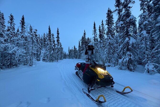 Snowmobile Riding Adventure in Golden Town - The Sum Up