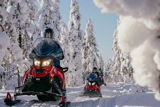 Snowmobile Safari Into the Arctic Circle Forest - Pricing and Booking