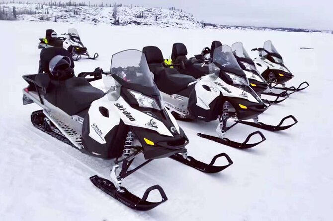 Snowmobile Tour - Overview of Snowmobile Tour