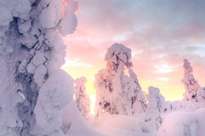 Snowmobile Tours in Rovaniemi Lapland - Good To Know