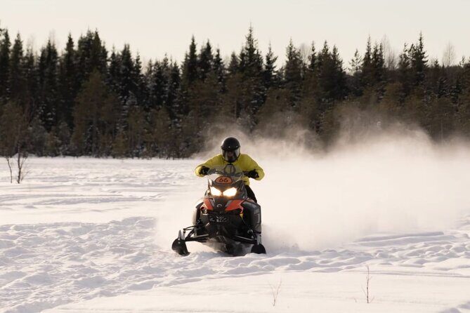Snowmobile Tours in Rovaniemi Lapland - Pricing and Value