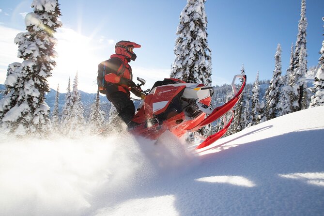 Snowmobiles and Huskies - Overview and Activities