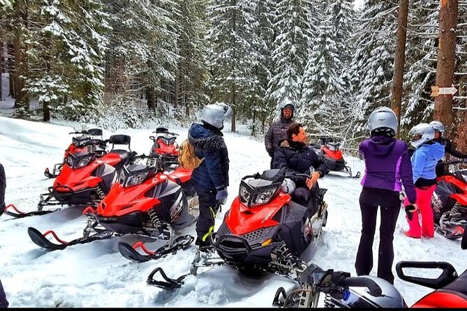 Snowmobiles Rides in the Carpathian and Winter Sports - The Sum Up