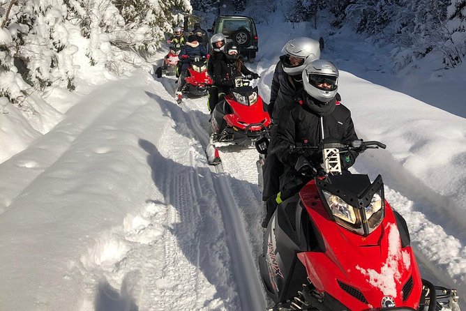 SnowMobiles Tour in Carpathian Mountains - Tour Highlights