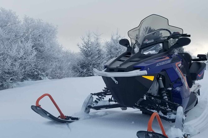 Snowmobiling Activity Rides of 1 Hour 30 - Reviews and Special Offer
