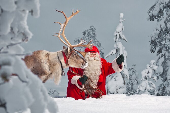 Snowmobiling to Santa -Snowmobile Safari to Santa Claus Village - Tour Details