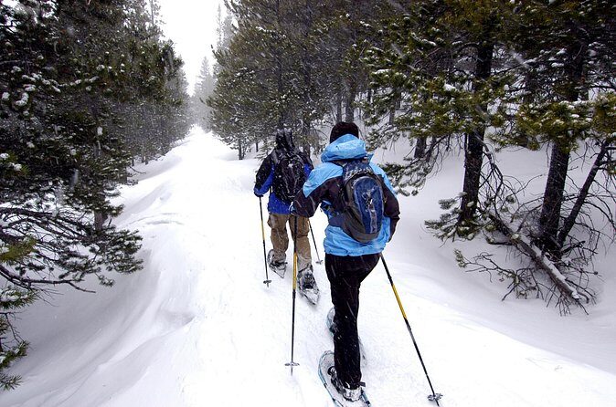 Snowshoe Adventure Frozen Falls and Firelight Tour - Frequently Asked Questions