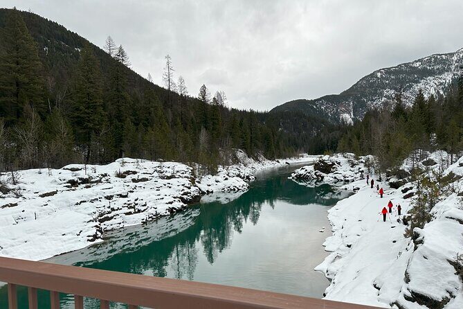 Snowshoe Day Tour In Glacier National Park - What Reviewers Say (Based on feedback)