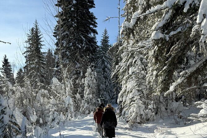 Snowshoe Day Tour In Glacier National Park - Why This Tour Is a Great Investment