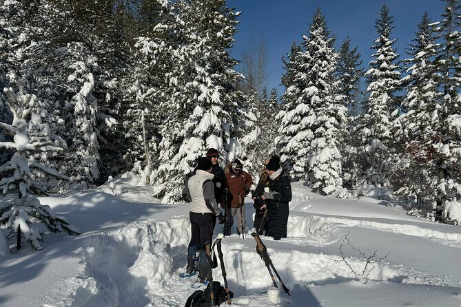 Snowshoe Day Tour In Glacier National Park - Final Thoughts: Who Should Book This Tour?