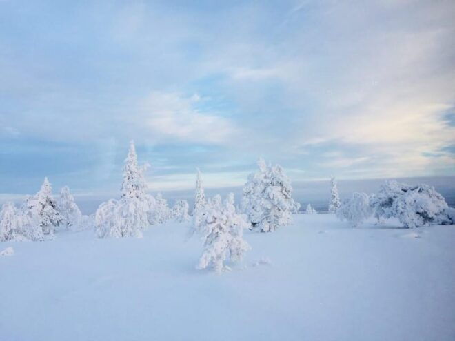 Snowshoe Experience With Traditional Beverages in Lapland - Recommended Clothing and Gear