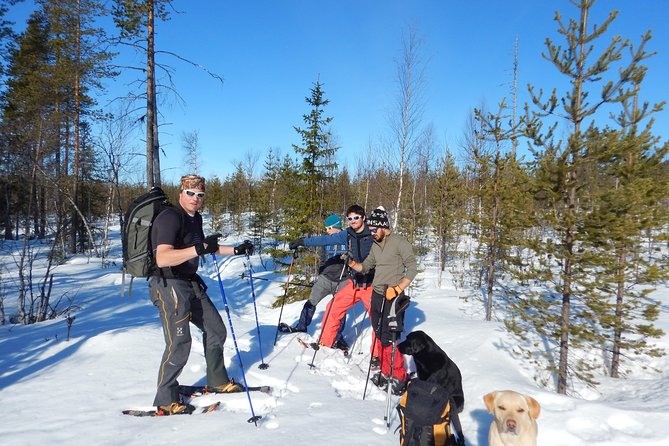Snowshoe Hike Into Laplands White Wilderness - Transfer Options