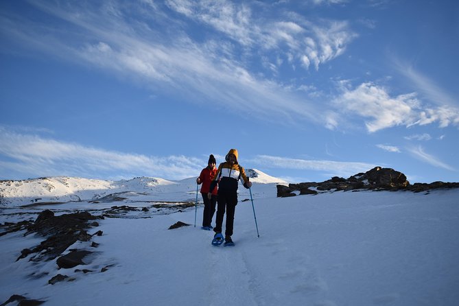 Snowshoe Hiking in Sierra Nevada (Granada) - The Sum Up