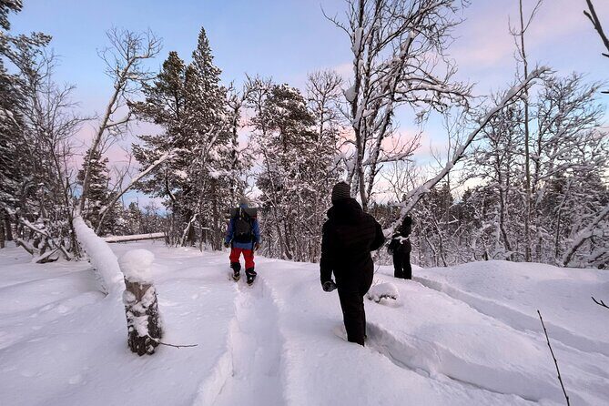 Snowshoe in a Winter Forest - Good To Know