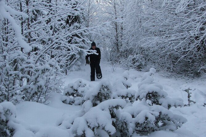 Snowshoe in a Winter Forest - The Itinerary: What You Can Expect from the Tour