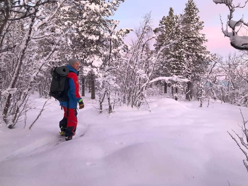 Snowshoe in a Winter Forest - An In-Depth Look at the Snowshoe Experience