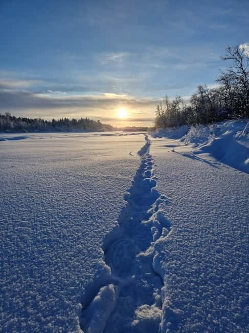 Snowshoe in a Winter Forest - What the Reviews Say