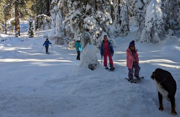 Snowshoe Rentals and Self Guided Tour on Private Trails - Activity Inclusions