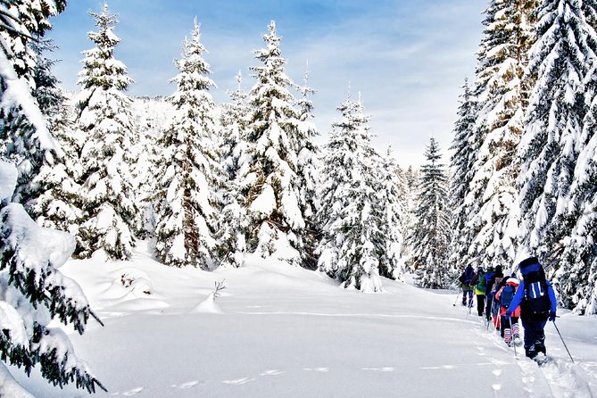 Snowshoe Through Vancouvers Winter Wonderland - Pickup and Meeting Point