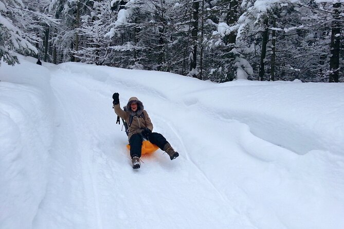 Snowshoe Tour on Schliersee With Zipflbob Ride - Tour Overview