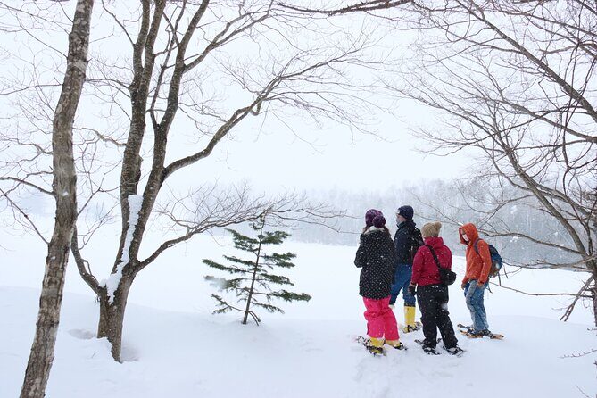 Snowshoe tours in Niseko Explore beautiful snowscapes adventure - Final Thoughts: Is It Worth It?