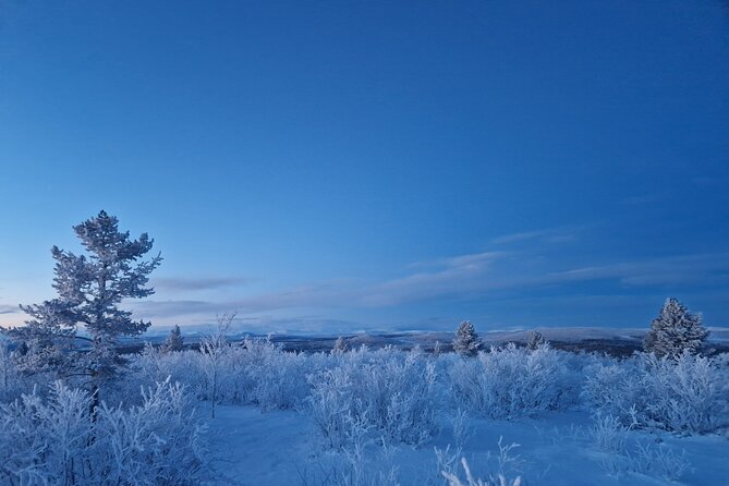 Snowshoe up a Mountain - Common Questions