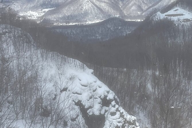 Snowshoeing Adventures in a Winter Wonderland - Sapporo - Cancellation Policy