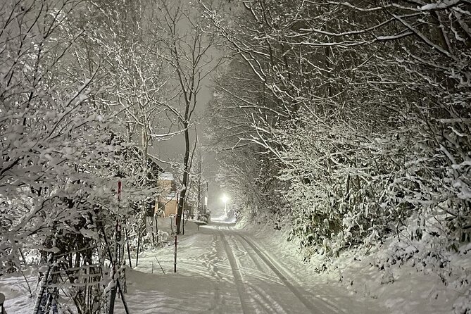 Snowshoeing Adventures in a Winter Wonderland - Sapporo - Snowshoeing Directions